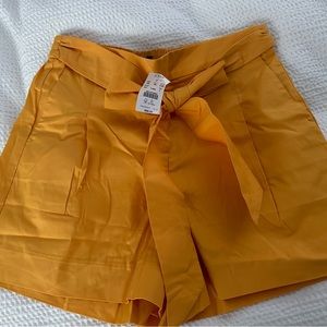 J.Crew Orange Cotton Shorts size 6